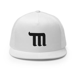 TM TRUCKER HAT