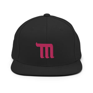 TM Snapback Hat