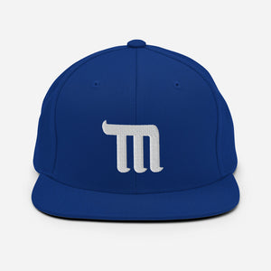 TM Snapback Hat